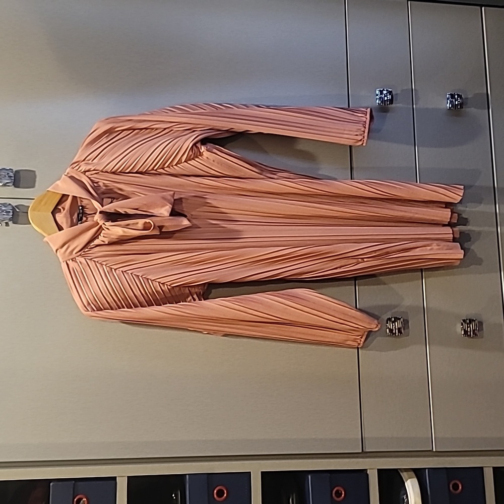 Zara Women's Dress